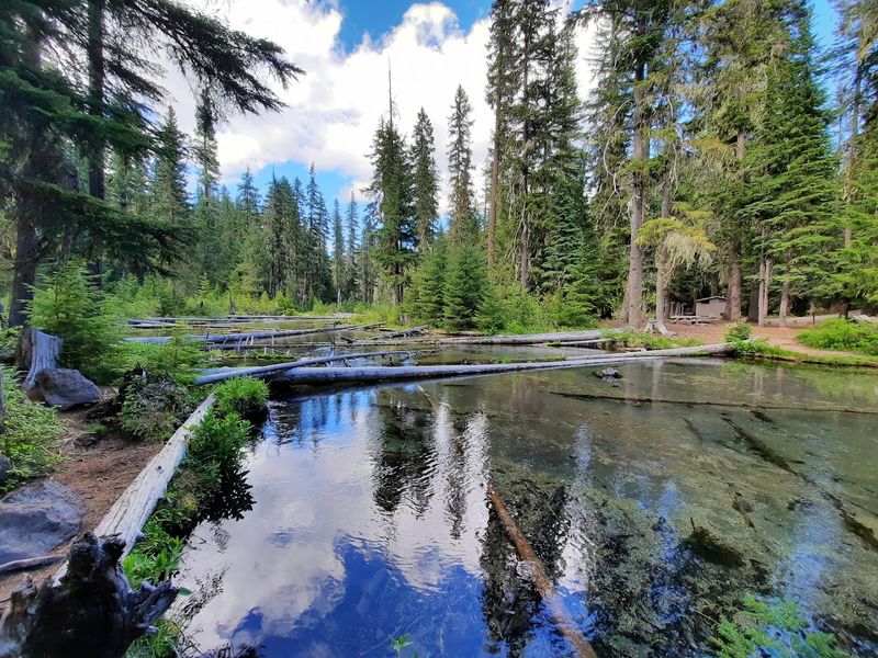 Just Steps From the Parking Lot