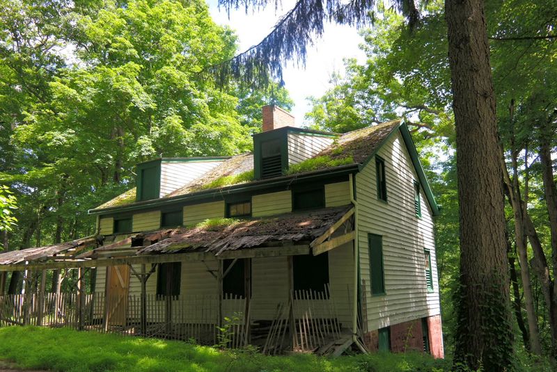 The Deserted Village of Feltville