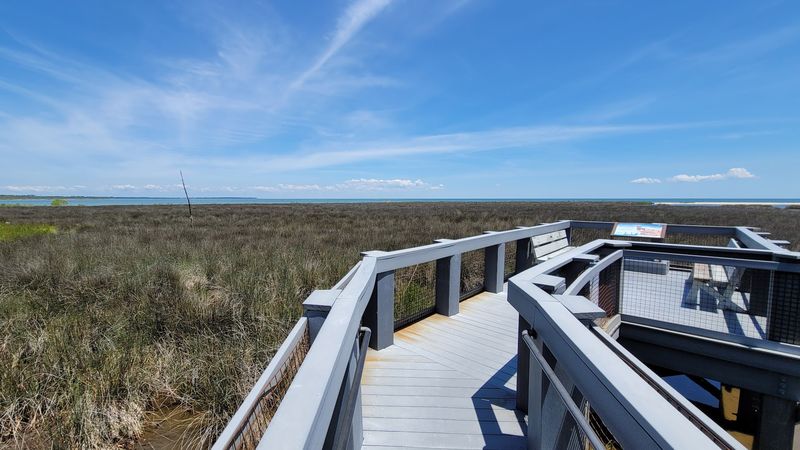 A Boardwalk That Actually Goes Somewhere Worth Seeing