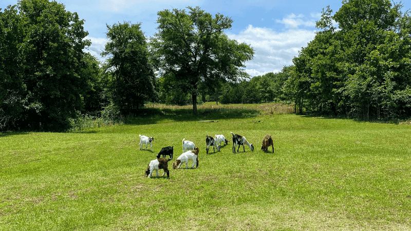 A Farm That Feels Pulled From Another Era