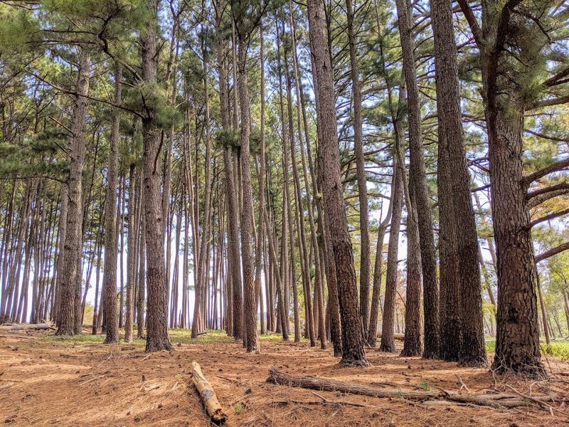 The First Drive In Sets the Mood Immediately