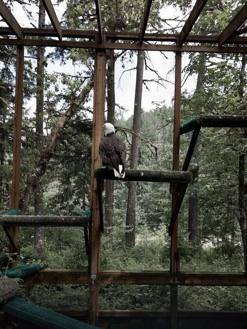 A Forest Setting That Feels Like Another World