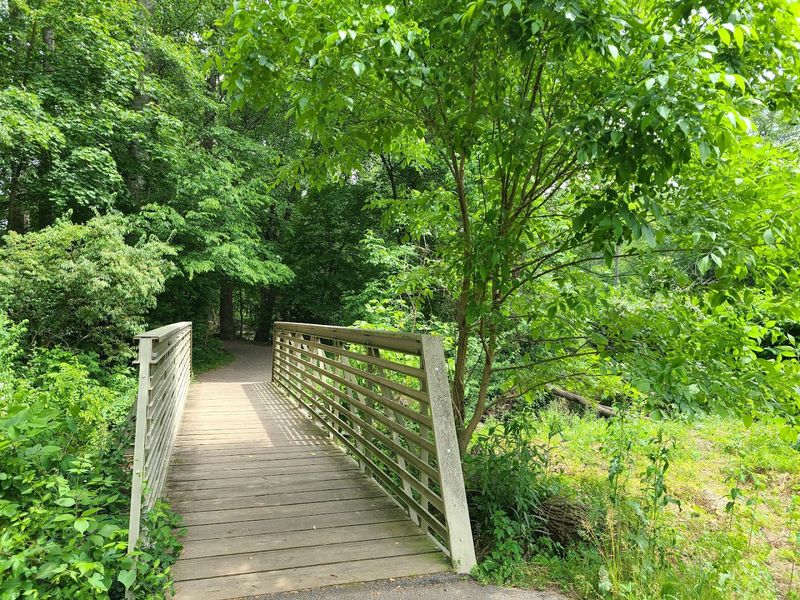 The Bridge That Rewrote American Espionage History