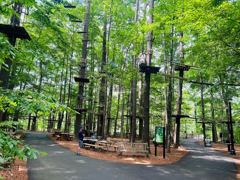 The Treetop Trail System That Changes Everything
