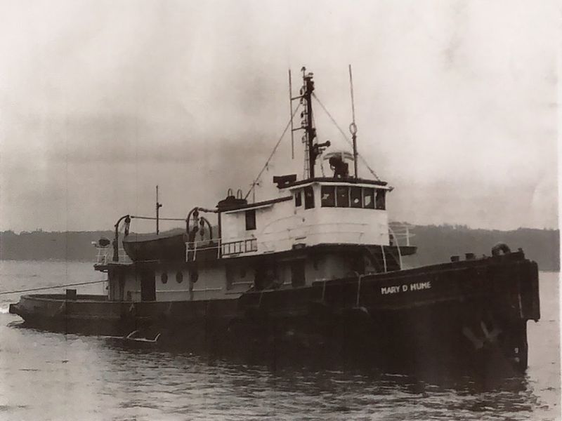 The Birth of a Legend: Mary D. Hume's Origins