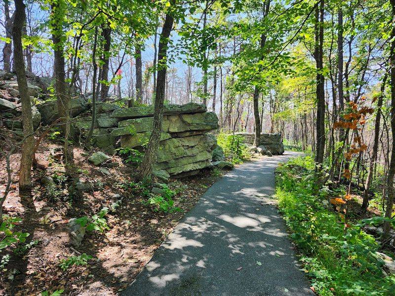 The Paved Path That Surprises Everyone