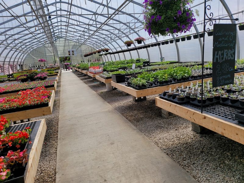 A 17,000-Square-Foot Greenhouse That Feels Like Another World