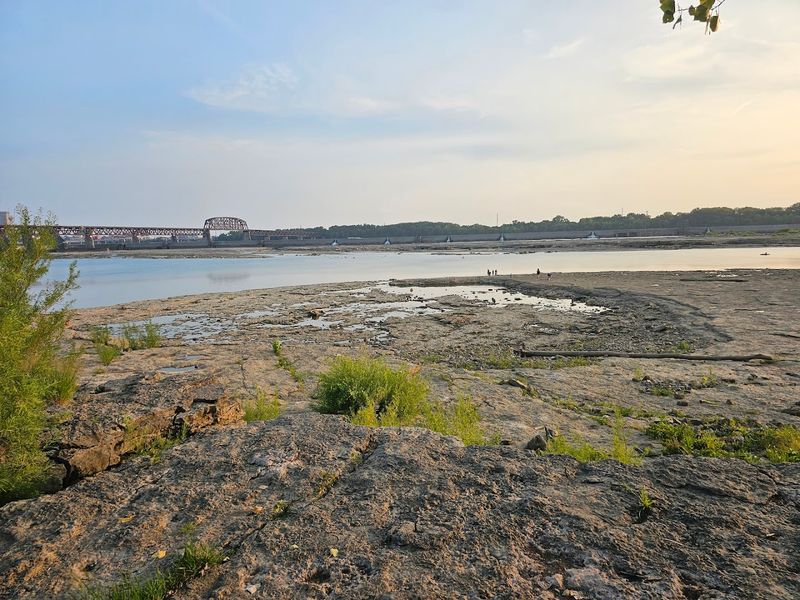 Walk Across One of the Largest Exposed Devonian Fossil Beds in the World