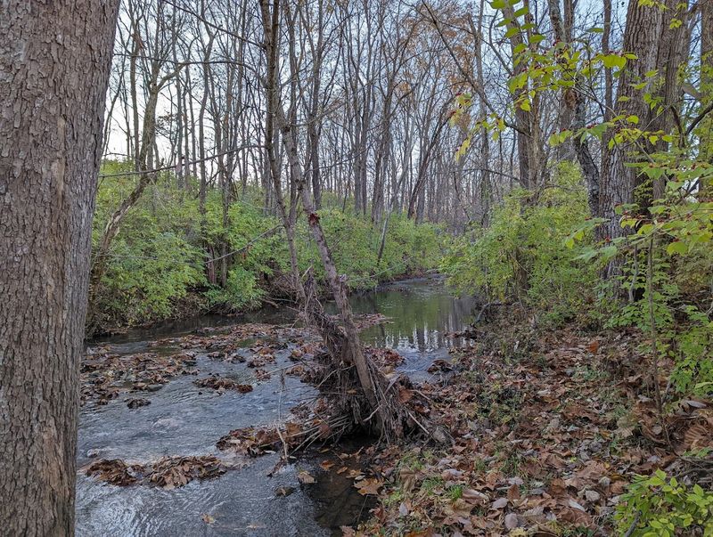 The Historic 150-Foot Iron Bridge Spanning a Scenic Limestone Creek