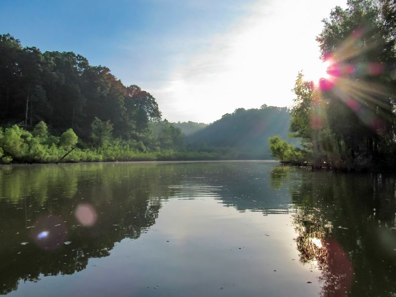 Kayaking Through Flooded Woodlands