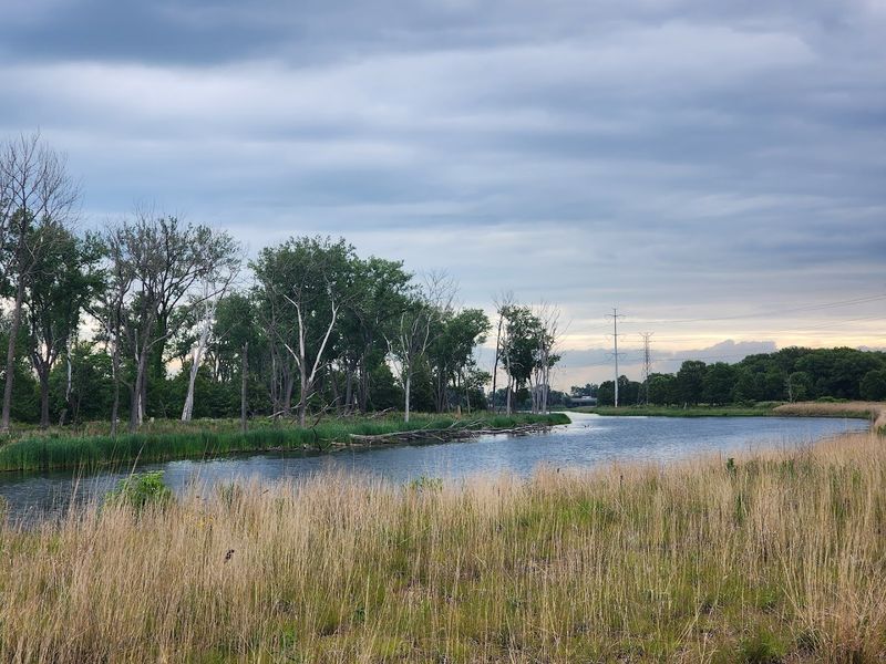 A Globally Rare Dune-and-Swale Topography You Will Not Find Just Anywhere