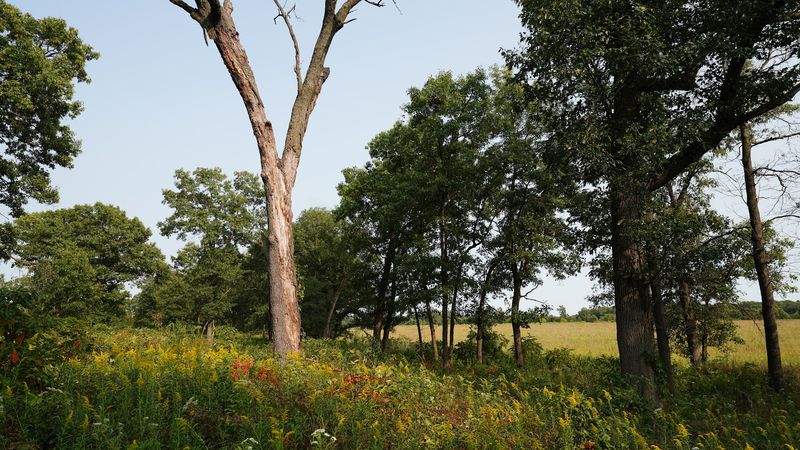 Rich Biodiversity That Will Genuinely Surprise You