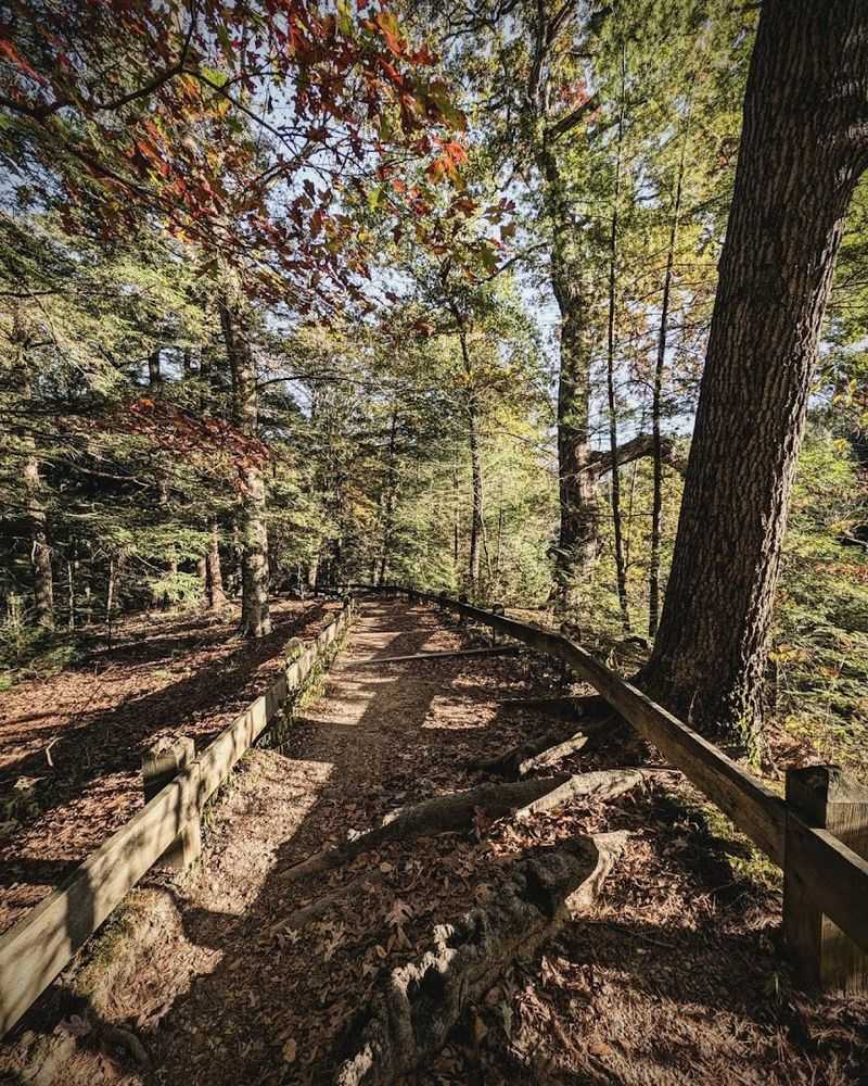 The Devil's Backbone Is Unlike Anything Else in the Midwest