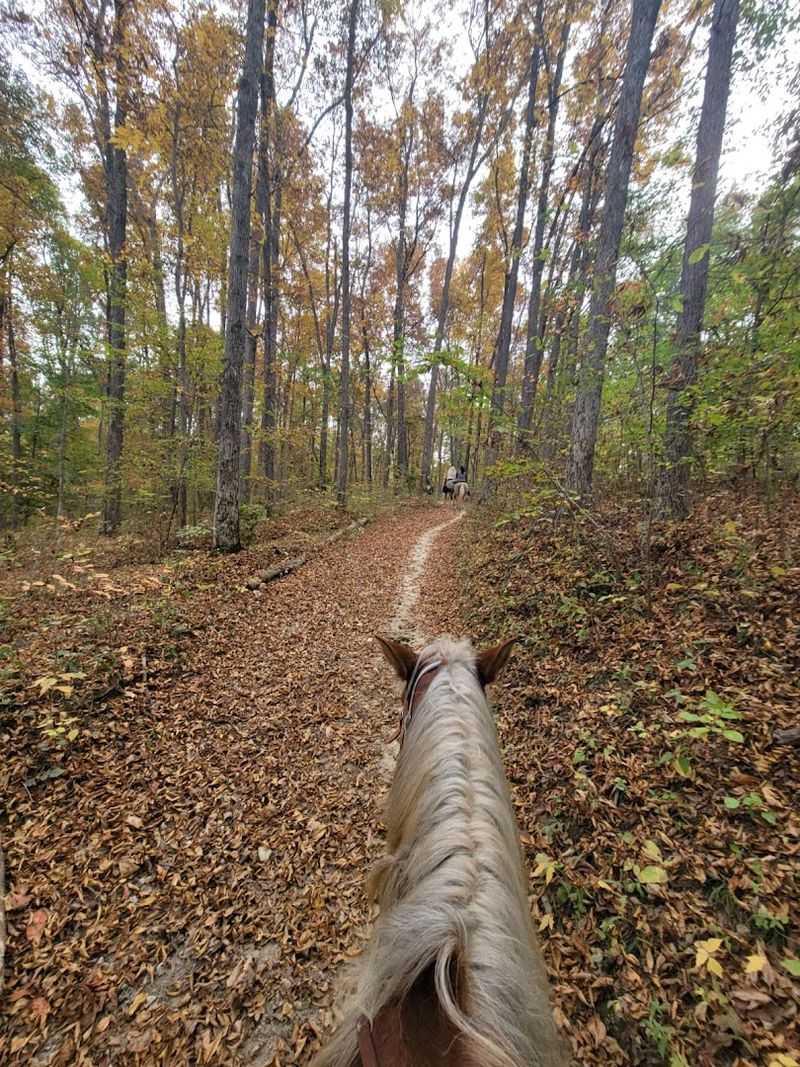 70 Miles of Trail Riding Through Indiana's Most Scenic Terrain