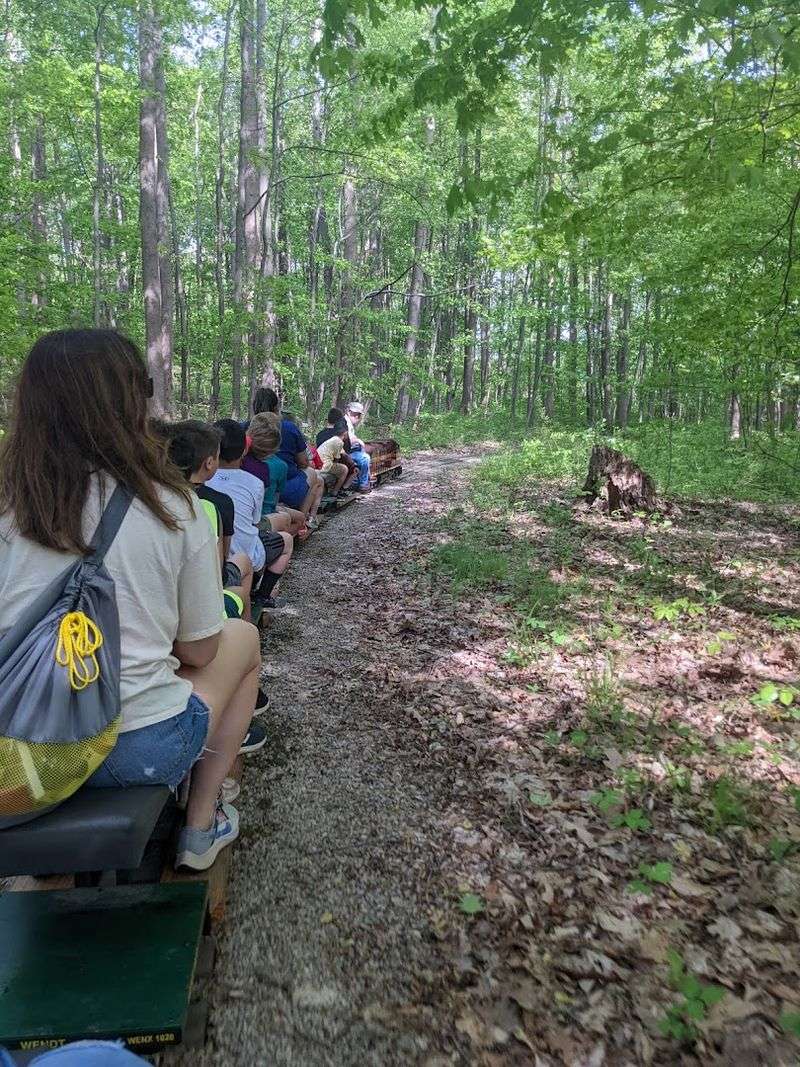 Miniature Locomotives That Wind Through the Deep Woods