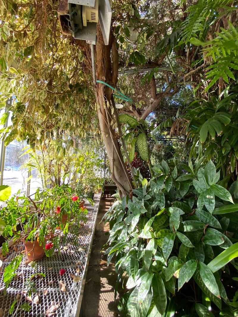 It Is Completely Free and Open to Everyone