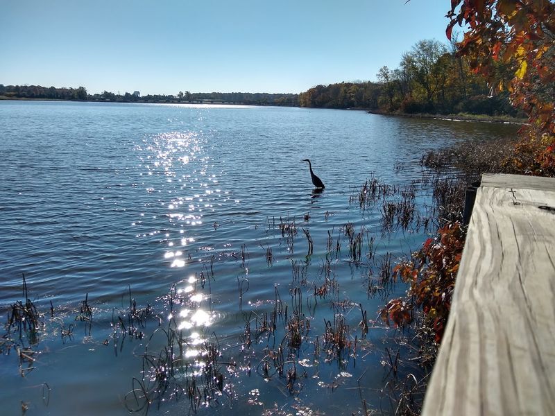 The Wildlife Sightings Are Genuinely Jaw-Dropping