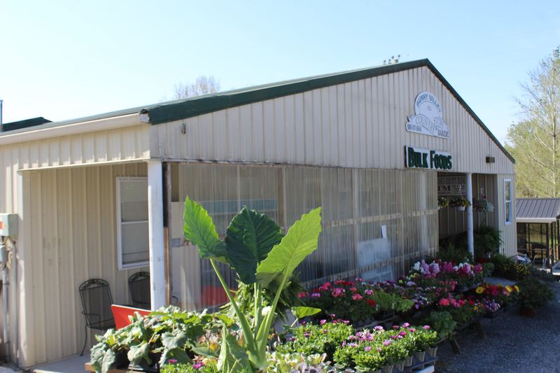 Turn Onto S Fork Creek Road And Feel The Amish Country Rhythm Kick In