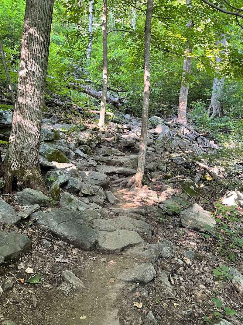 Why Old Rag Mountain Needed a Visitor Cap in the First Place