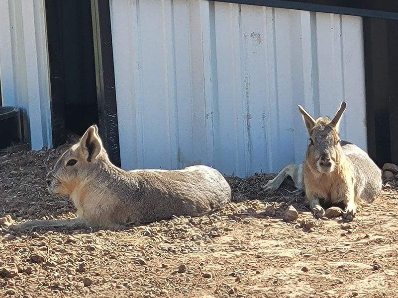 The Moment You Walk In, Something Feels Different