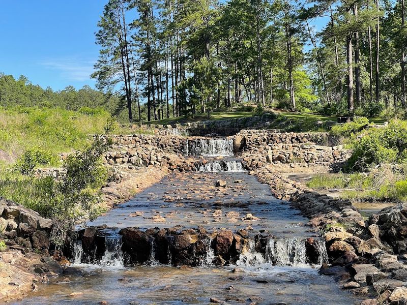 The Sawmill Hiking Trail: A Five-Mile Journey Through Living History
