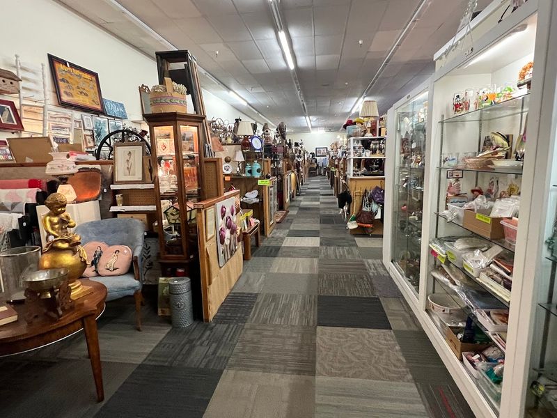 A First Look That Feels Bigger Than A Quick Stop