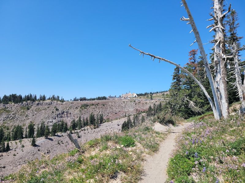 The Drive Up Mt. Hood Is Part of the Experience