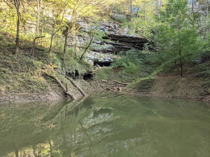 A Sinkhole So Massive It Creates Its Own Microclimate