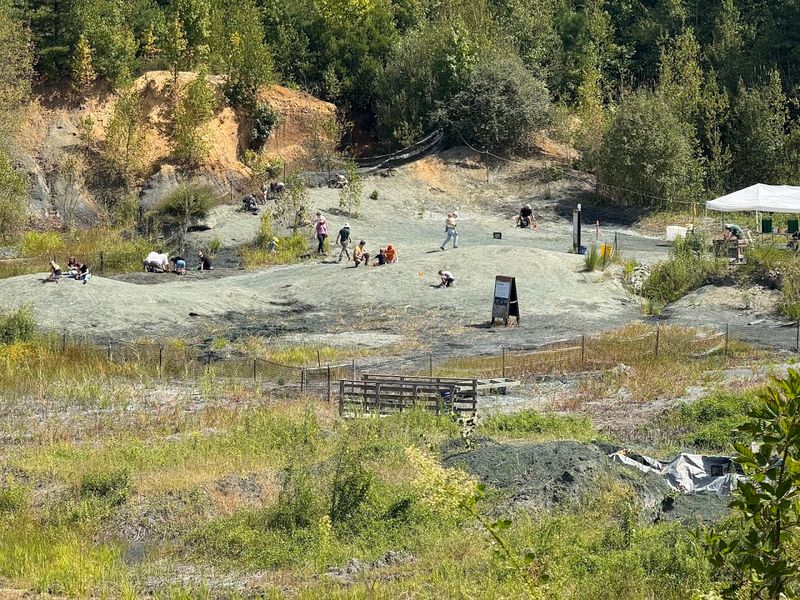 The Fossil Dig Experience: Getting Your Hands Dirty in History