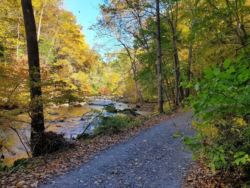 The Columbia Trail: Where Every Step Feels Like a Discovery