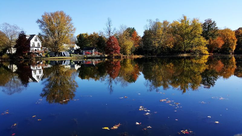 The Waterfront Patio Experience