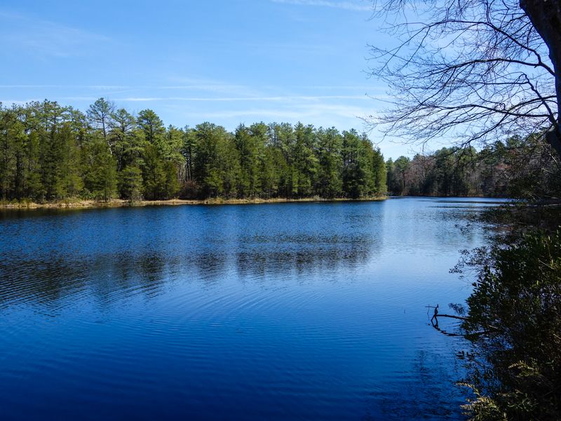 The Loop Trail That Wraps Around Pure Stillness