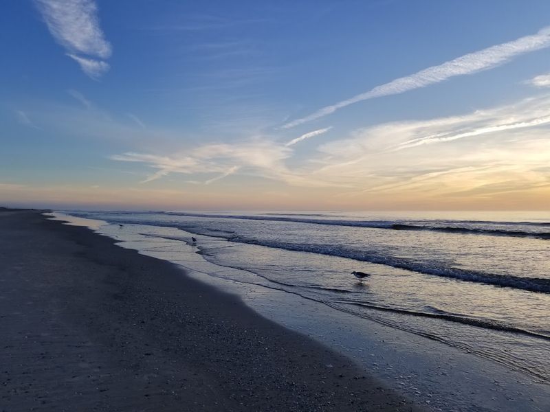 The 1.5-Mile Promenade: A Morning Walker's Dream
