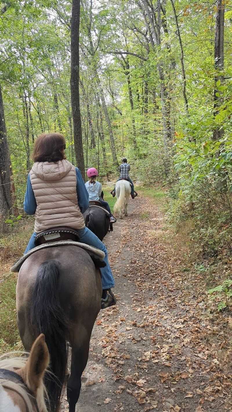 The Trails That Feel Like Stepping Back in Time