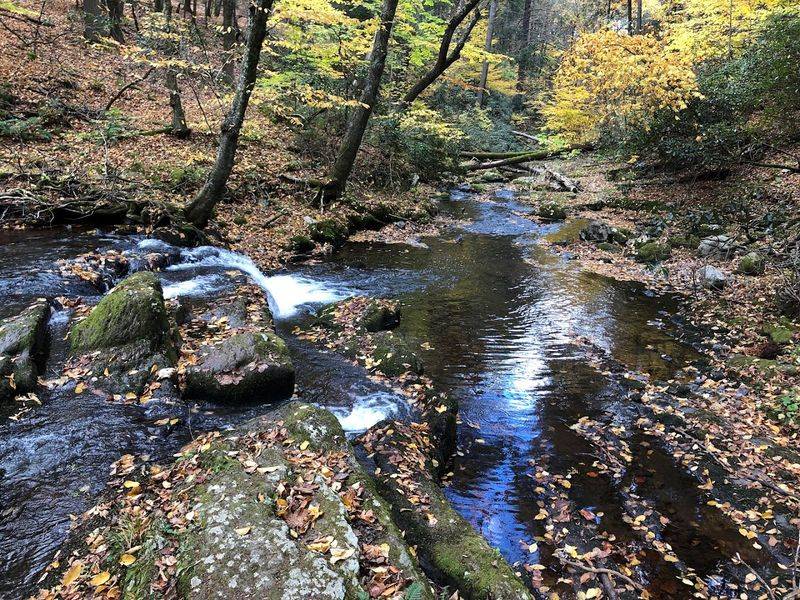 The VanCampens Glen Falls Trailhead: Where the Adventure Begins