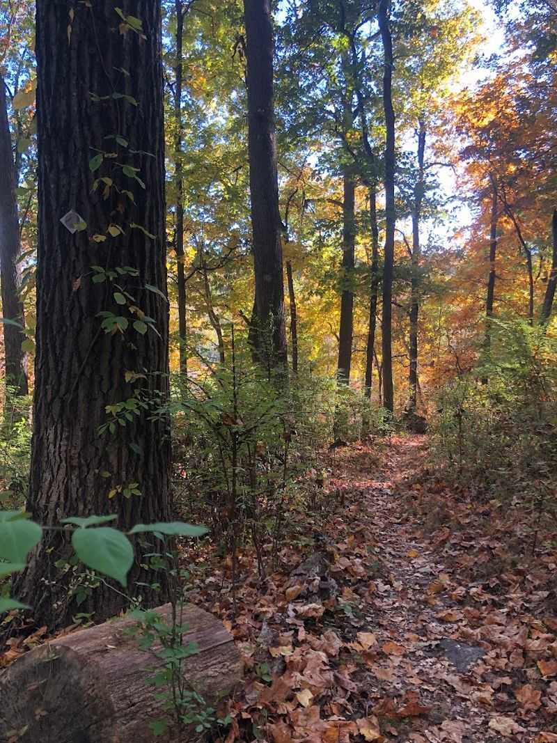 A 276-Acre Wilderness That Feels Nothing Like New Jersey