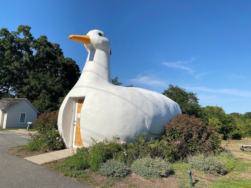 The Giant Duck That Still Stops People In Their Tracks
