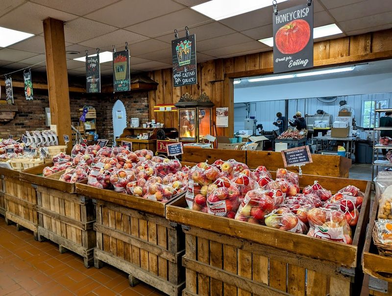 Fresh Fruit Straight From The Orchard