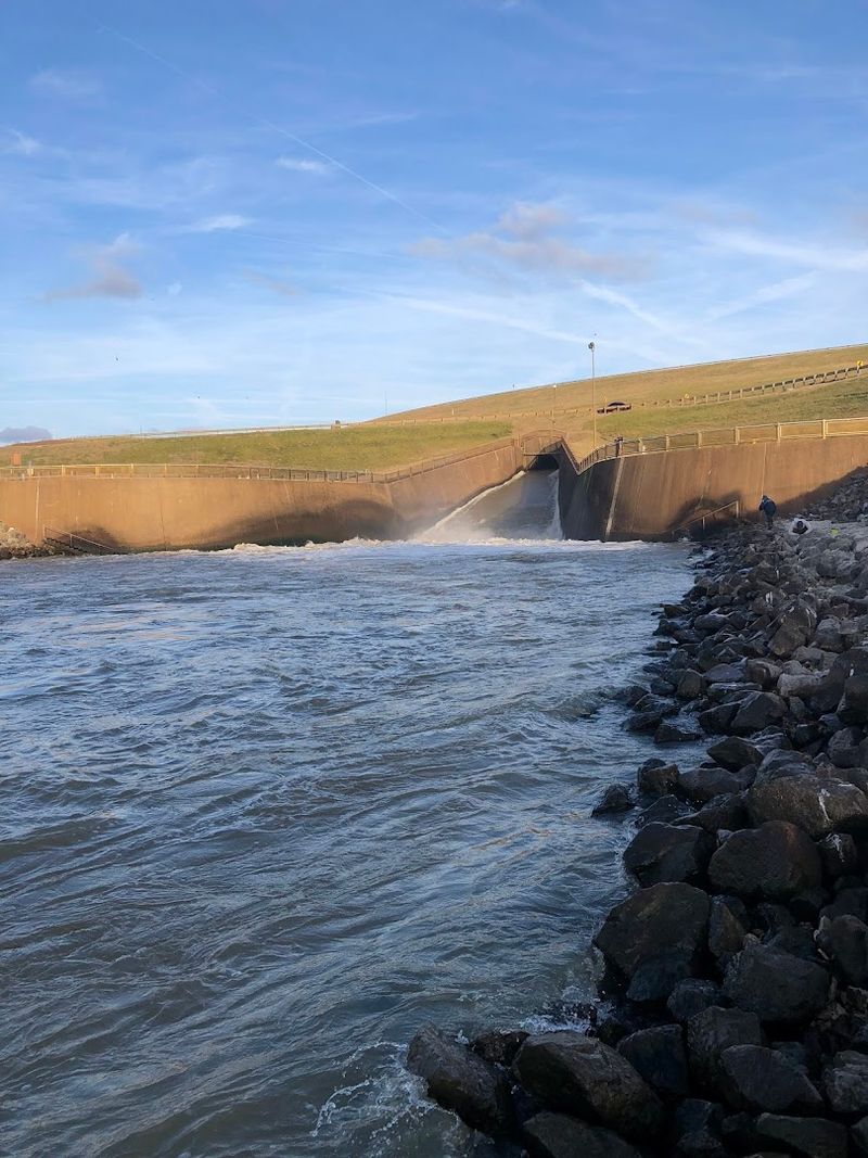 The Origins of Sardis Lake and Why It Was Built