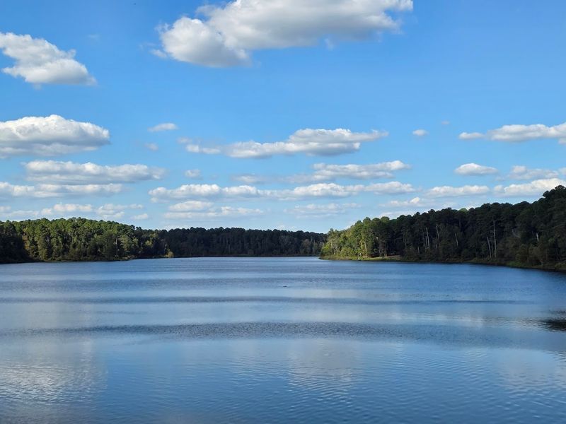 The Lake Itself: What Makes It Worth Fighting For