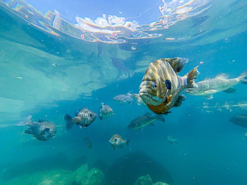 Crystal Clear Waters That'll Blow Your Mind