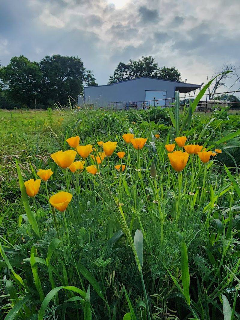 The Setting That Pulls You In Before You Even Park