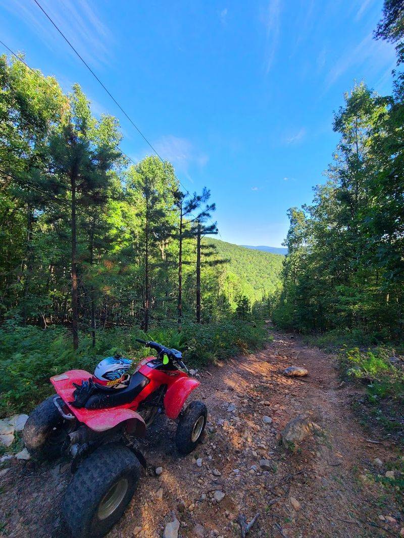 The Trail System Overview: Scope, Scale, and Pure Off-Road Ambition