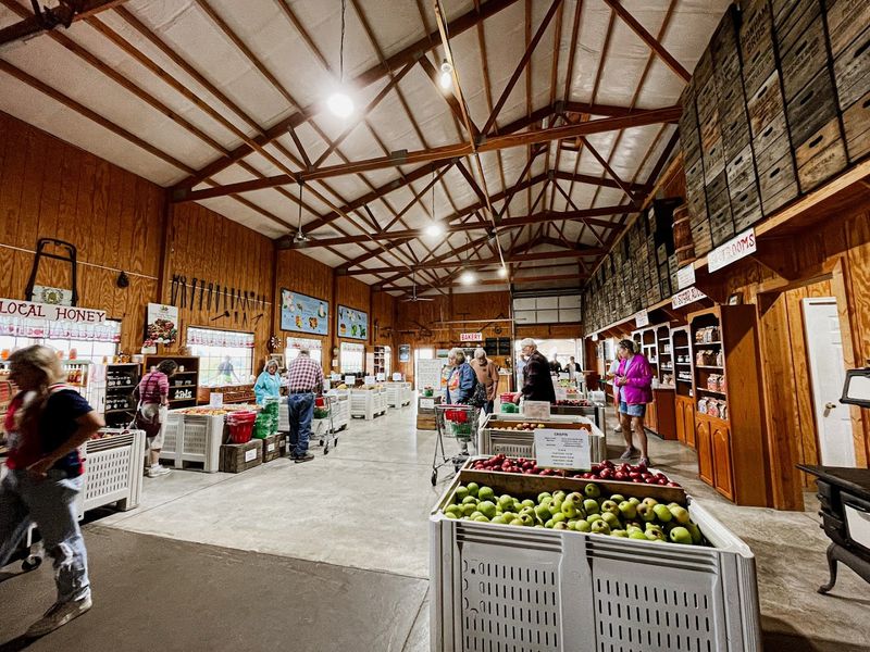 A Farm That Feels Like It Was Built Just for You