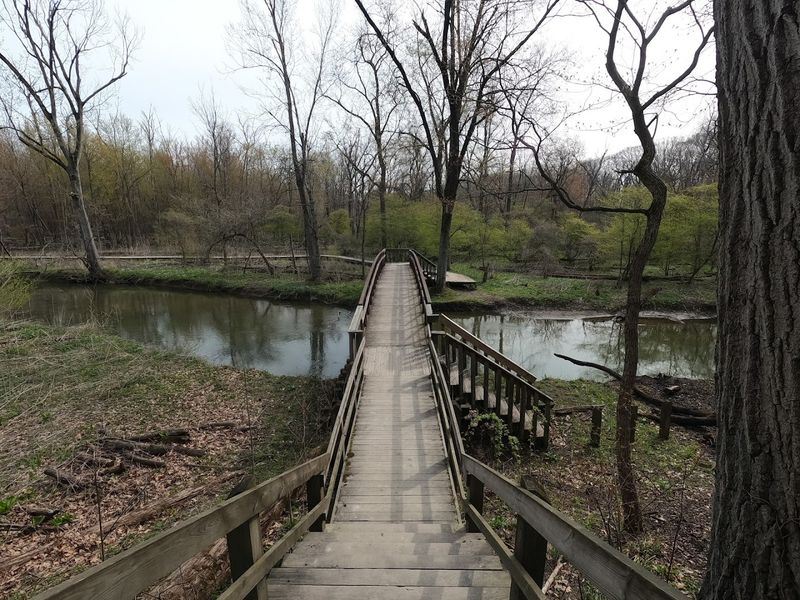 Rich Historical Roots That Go Deeper Than You Expect