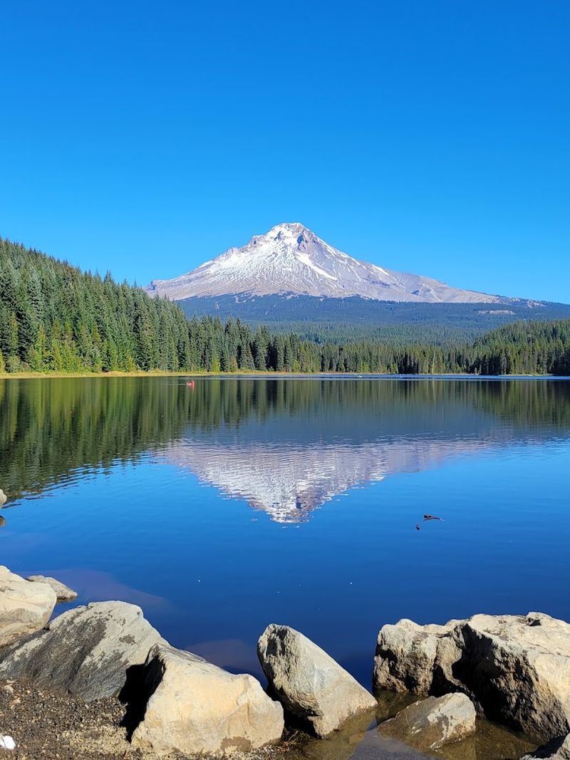 The Iconic Mount Hood Reflection