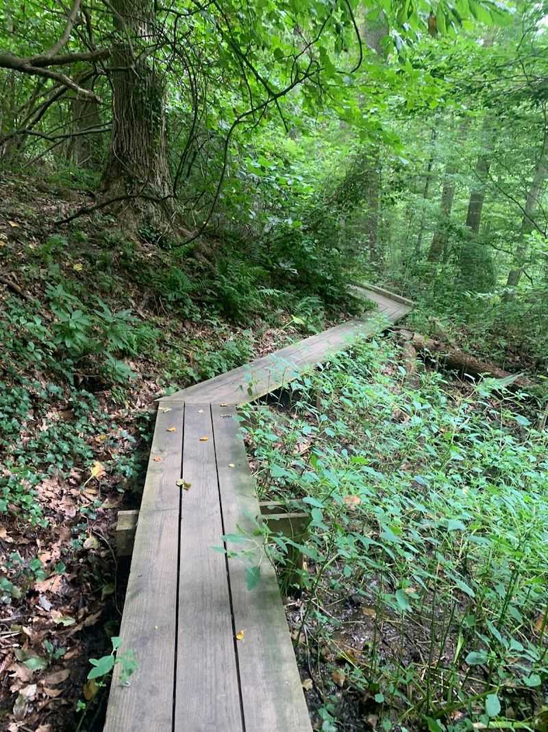 Six Miles of Trail That Never Feel Repetitive