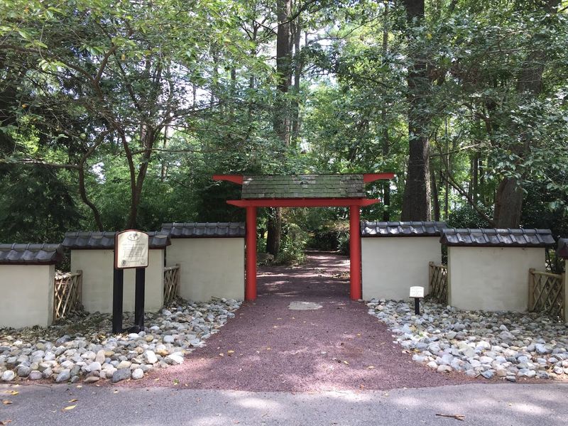The Torii Gate That Sets the Mood Before You Even Step Inside