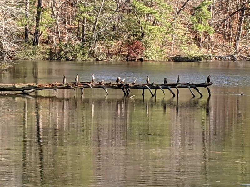 The Loop That Started It All: Understanding Noland Trail