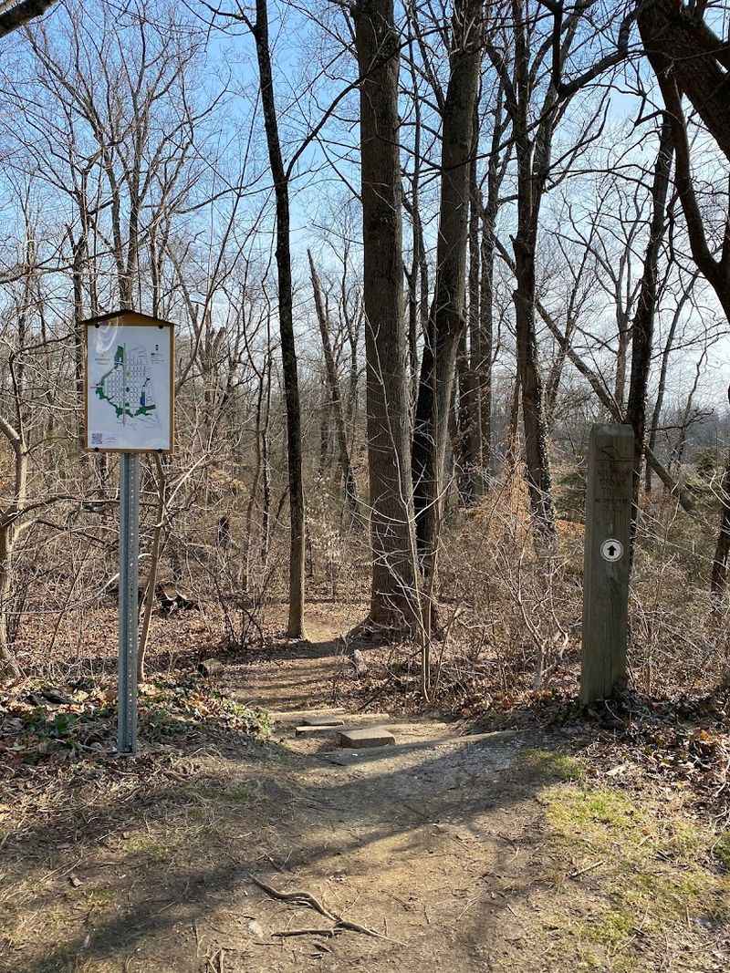 Wenonah Woods: Where the Trails Actually Deliver
